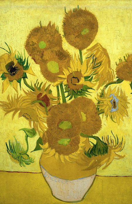 The Sunflower – Plant Portraits